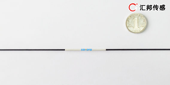<b>JH-FGT-C1光纖光柵溫度傳感器（非金屬）</b>